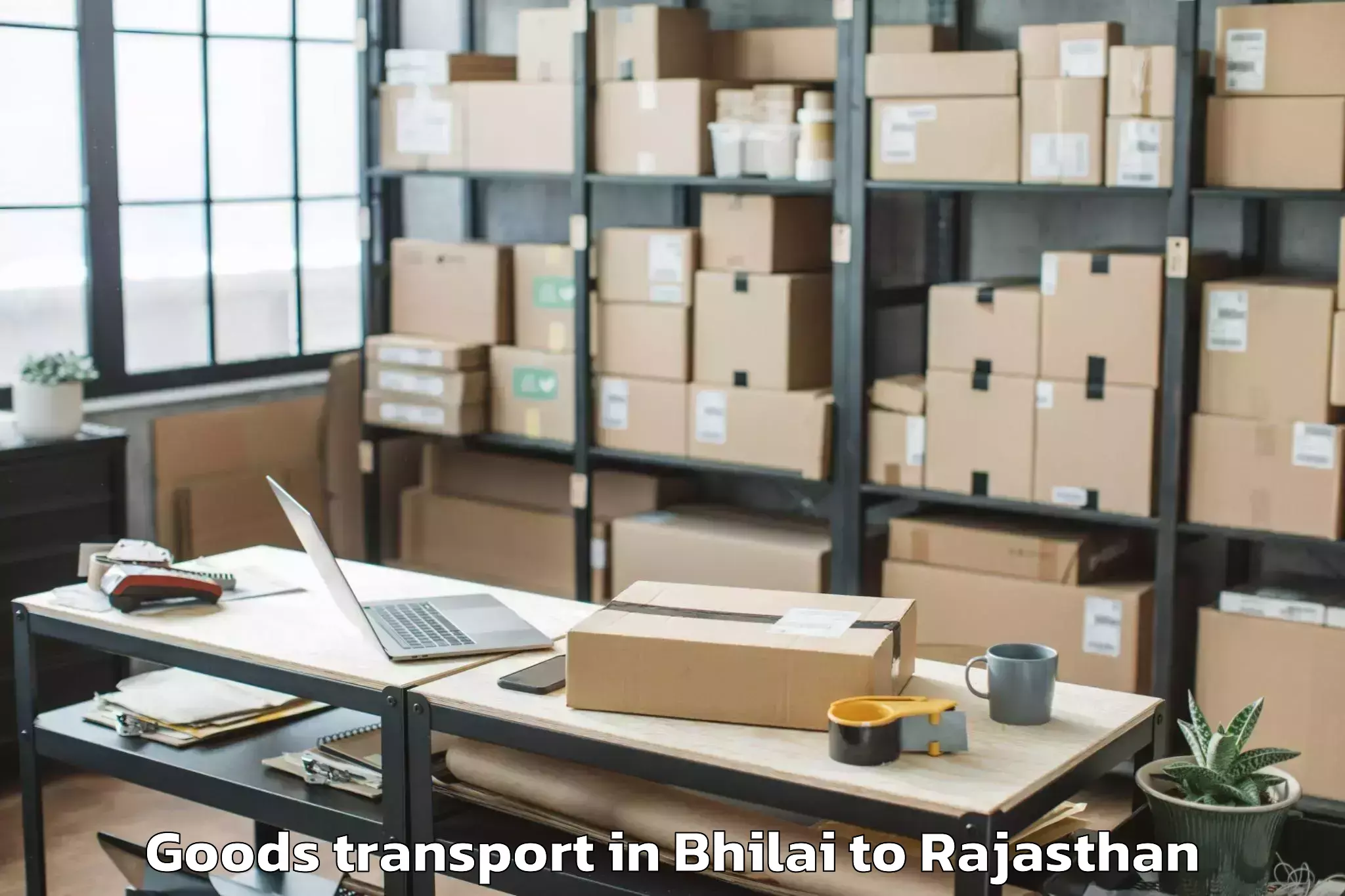 Professional Bhilai to Bundi Goods Transport